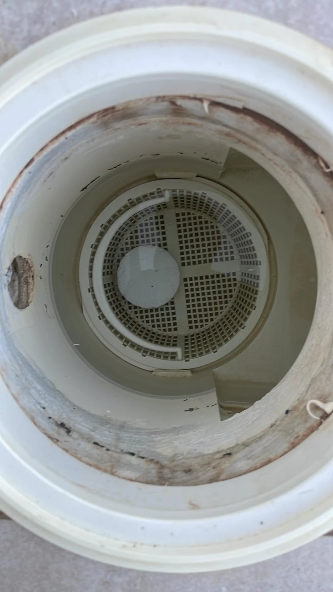 Skimmer basket cleaned and clear