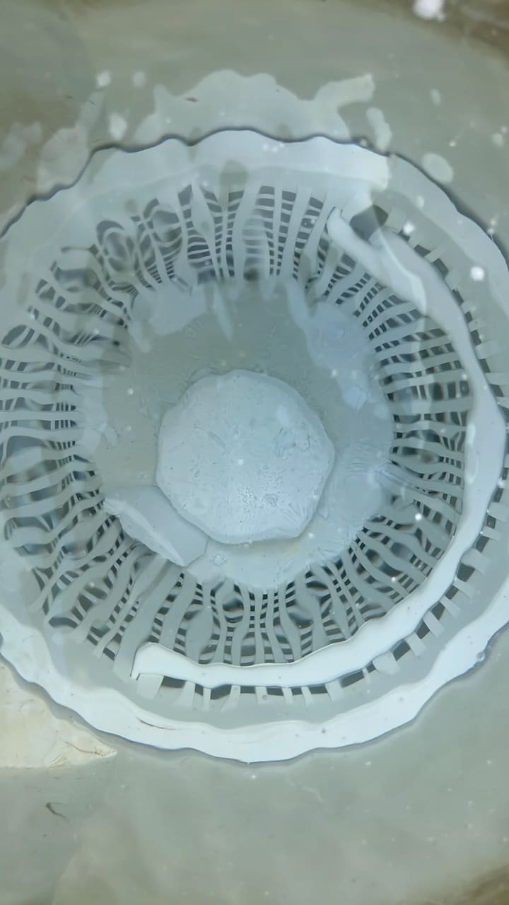 After: Skimmer basket cleaned and clear