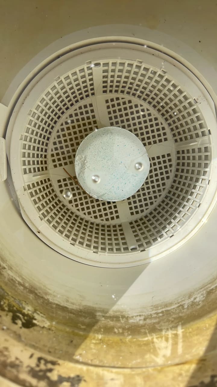 After: Skimmer basket cleaned, chlorine tablet added