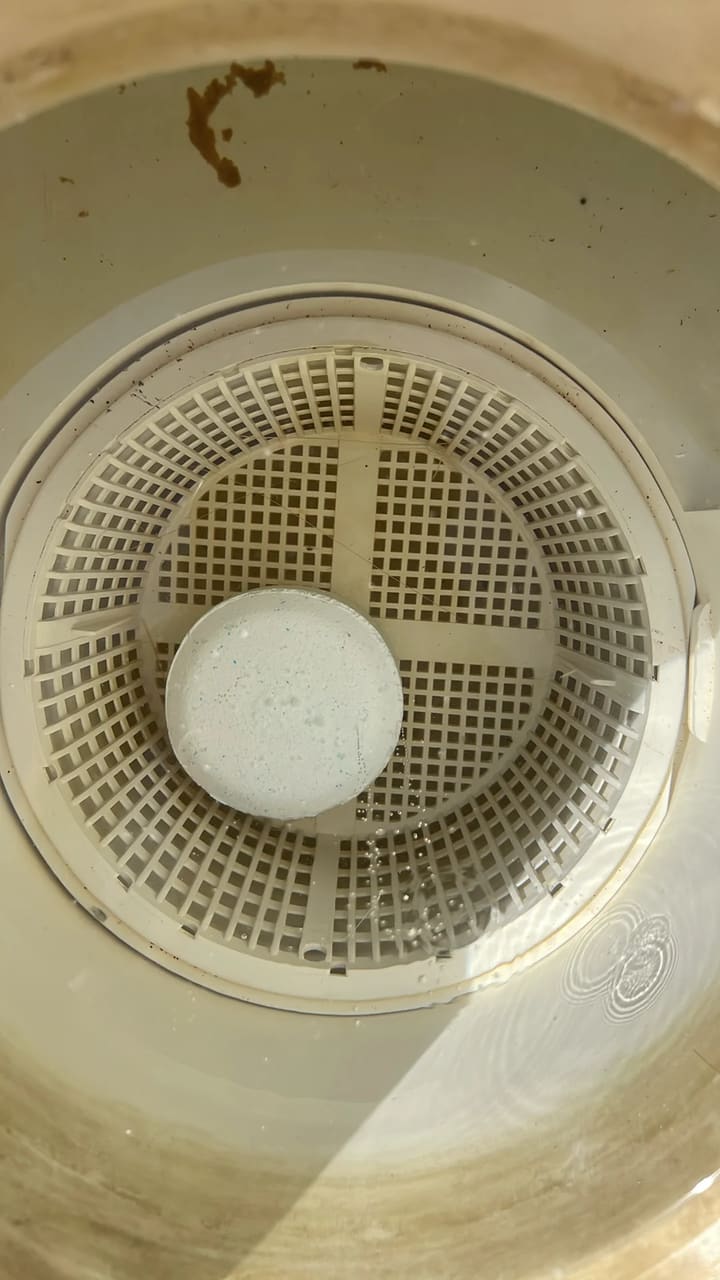 After: Skimmer basket cleaned, chlorine tablet added