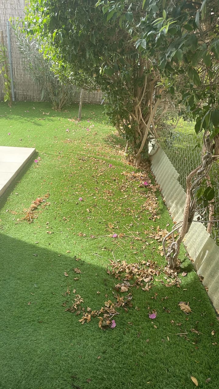 Before: Artificial grass covered with leaves and petals