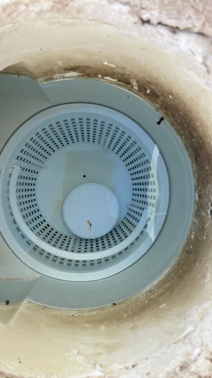 After: Skimmer basket cleaned and clear