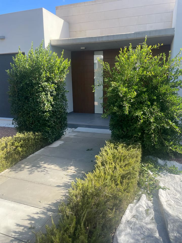 Before: Entrance hedges overgrown and untidy