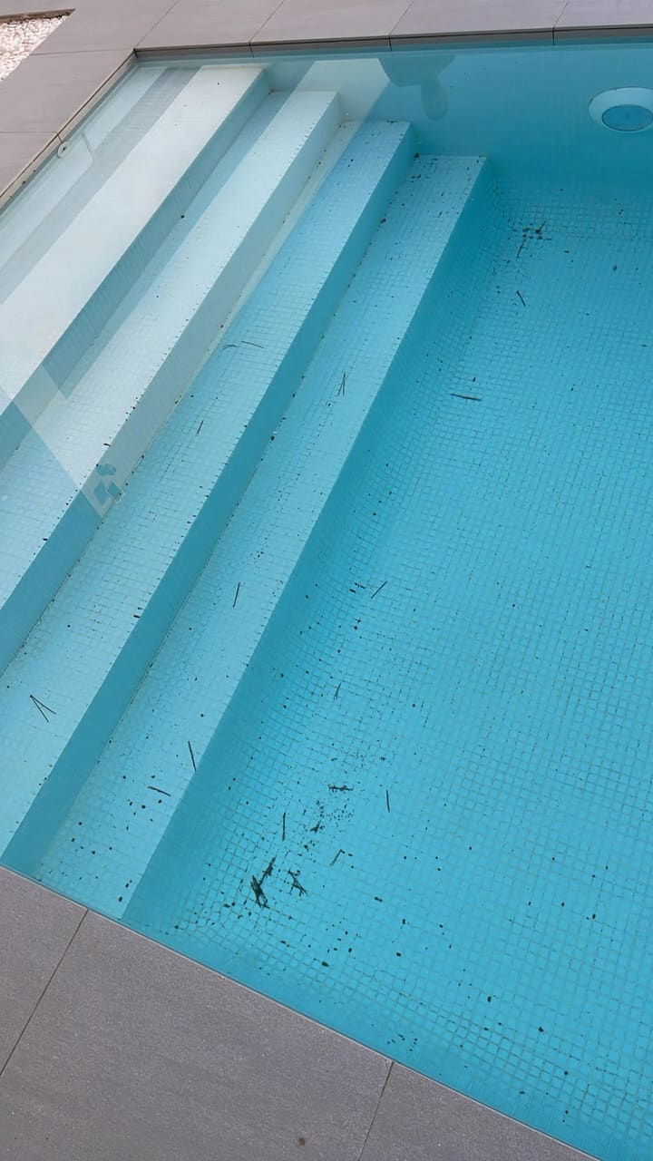Before: Pool steps and floor covered with debris