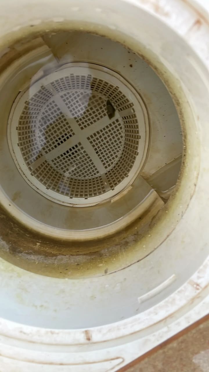 After: Skimmer basket cleaned and clear