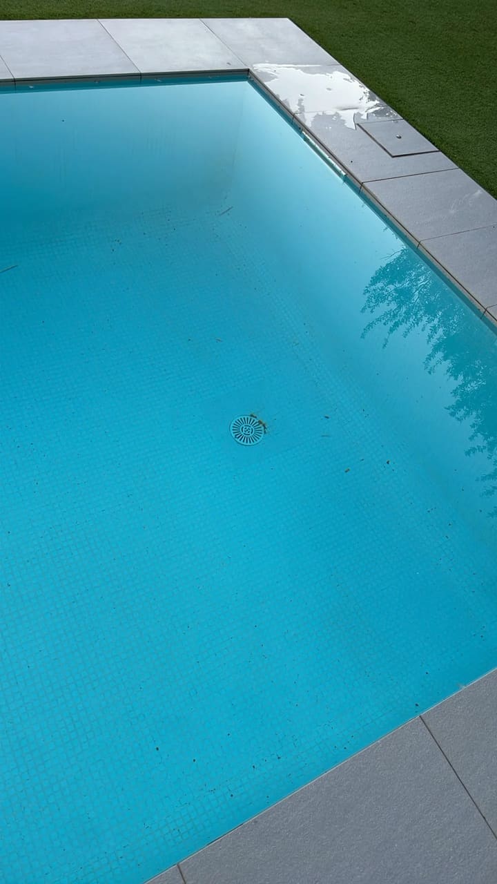 Before: Pool surface covered with light debris