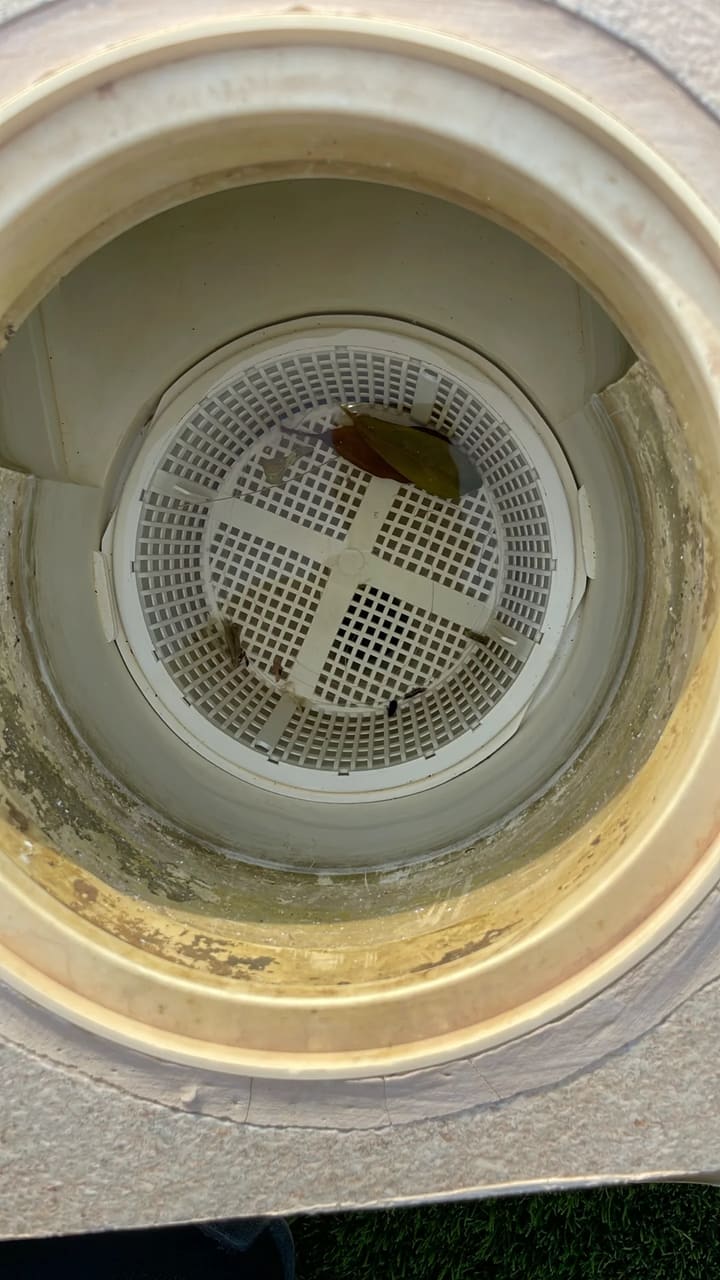 Before: Skimmer basket contains some debris