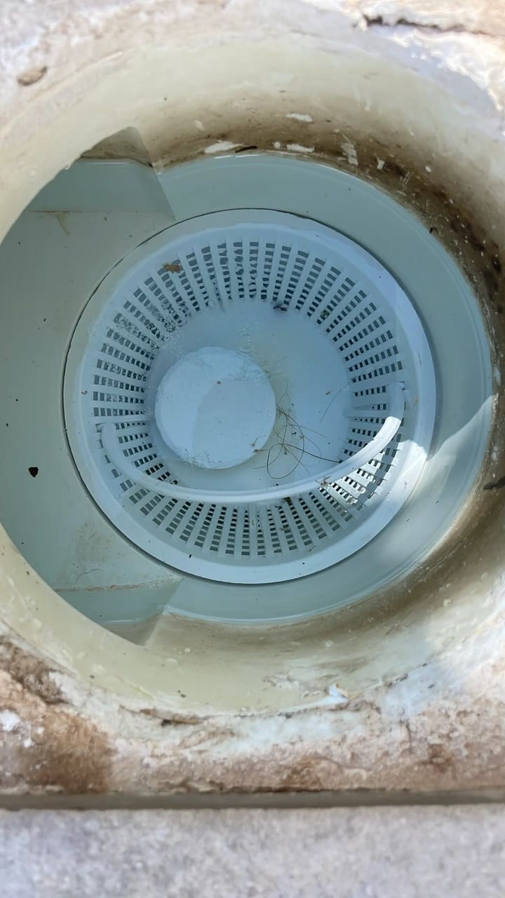After: Skimmer basket cleaned and clear
