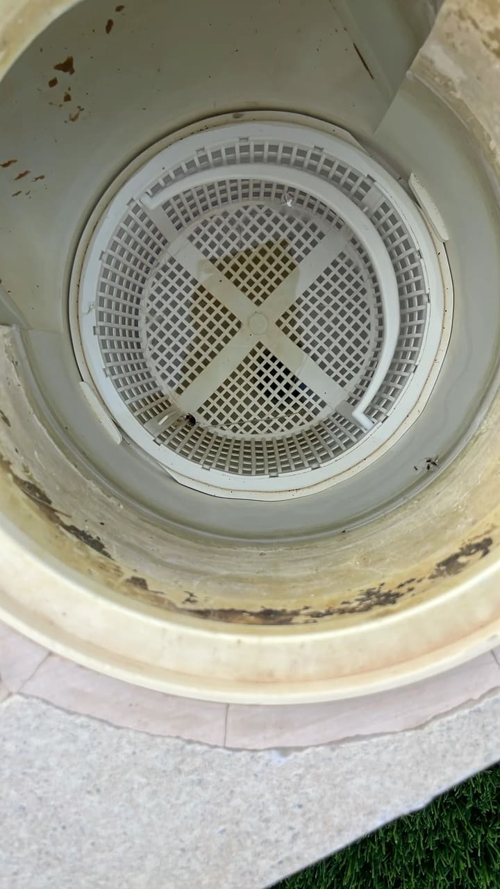 Before: Skimmer basket contains small debris