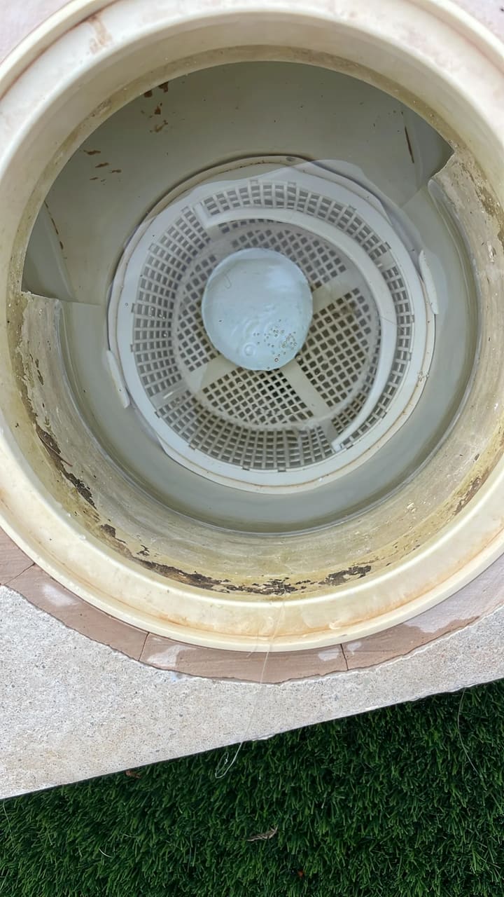 After: Skimmer basket cleaned and clear