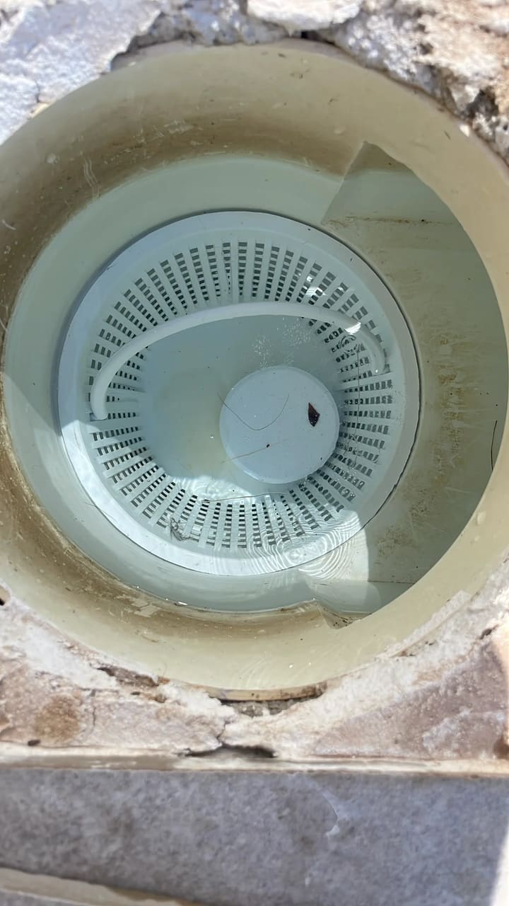 After: Skimmer basket cleaned and clear