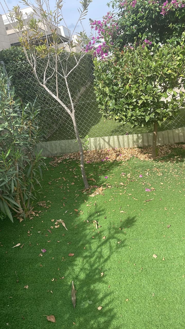 Before: Artificial grass covered with leaves and petals