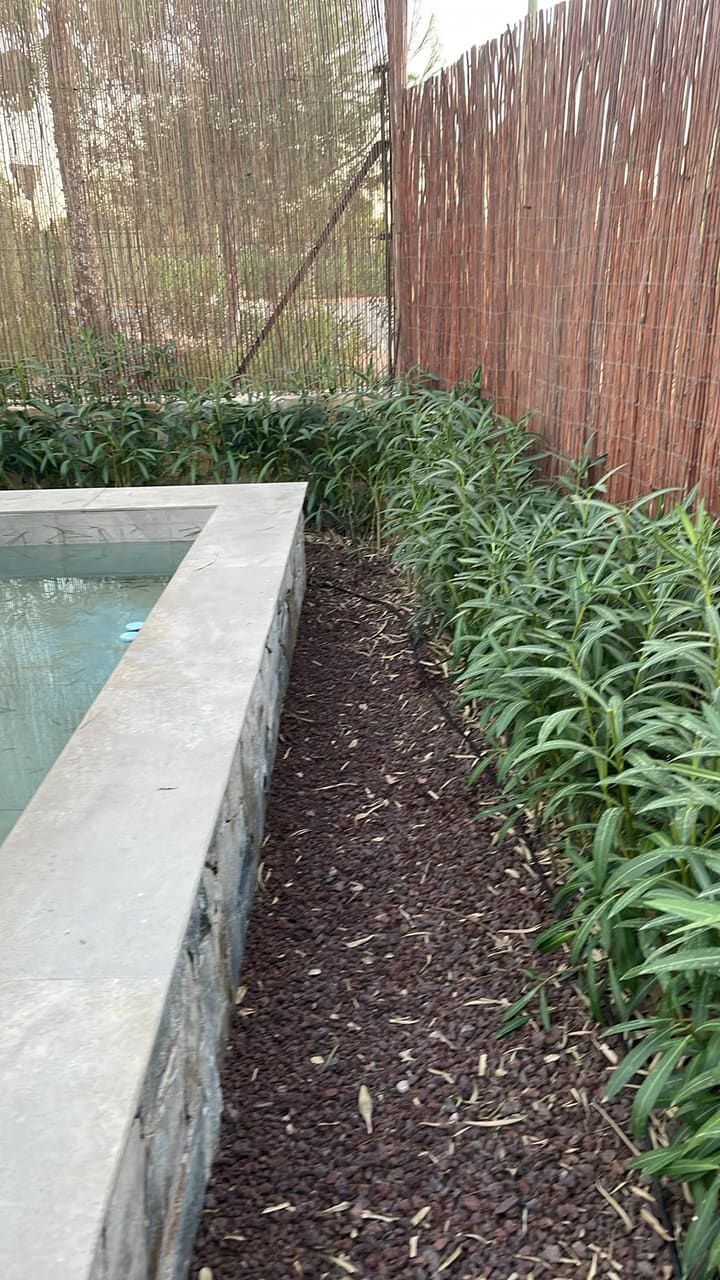 After: Plants trimmed along water feature