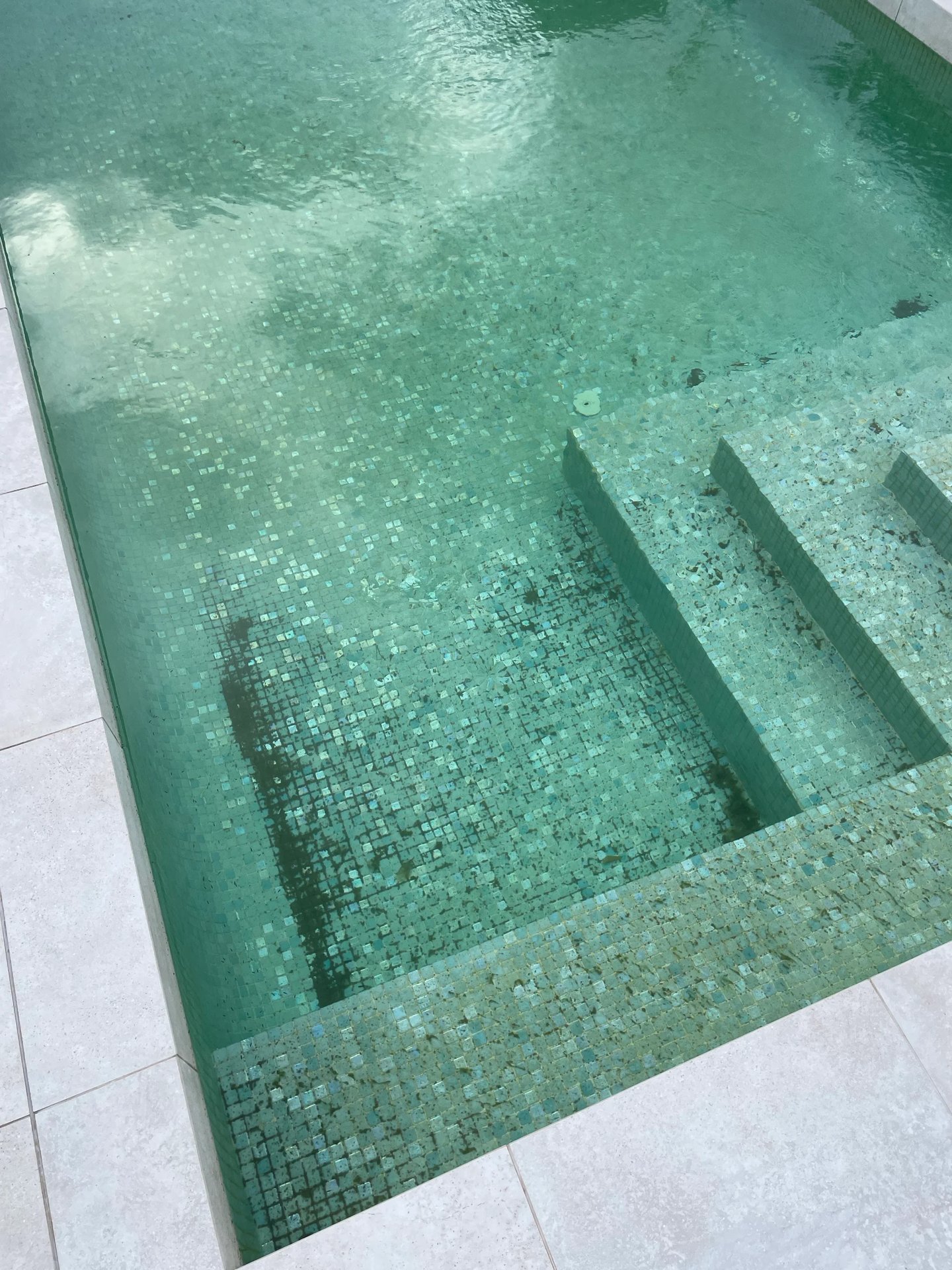 Pool steps and floor covered in dirt