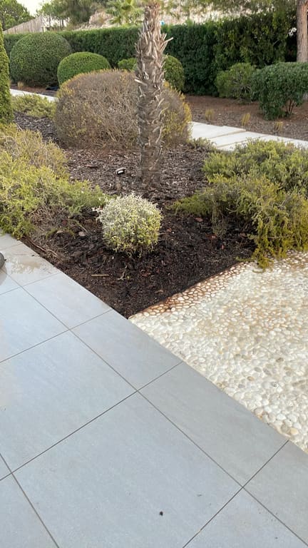 Dead shrub removed, garden bed cleared