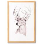 Obraz deer deer 40 x 60 cm