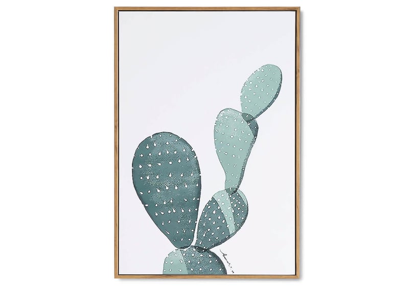 CD6604-04-CACTUS-1