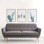 Obraz cactus 40 x 60 cm