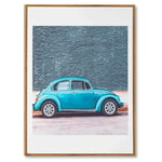 Obraz beetle blue 50 x 70