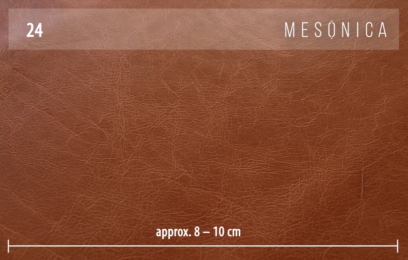 Mesonica-Musso-24B-0-c
