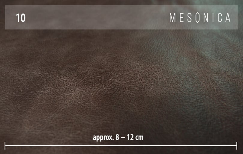 Mesonica-Nesbo-10A-2-c