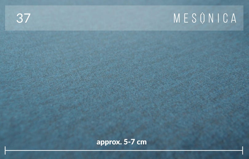 Mesonica-Prado-37A-2-c