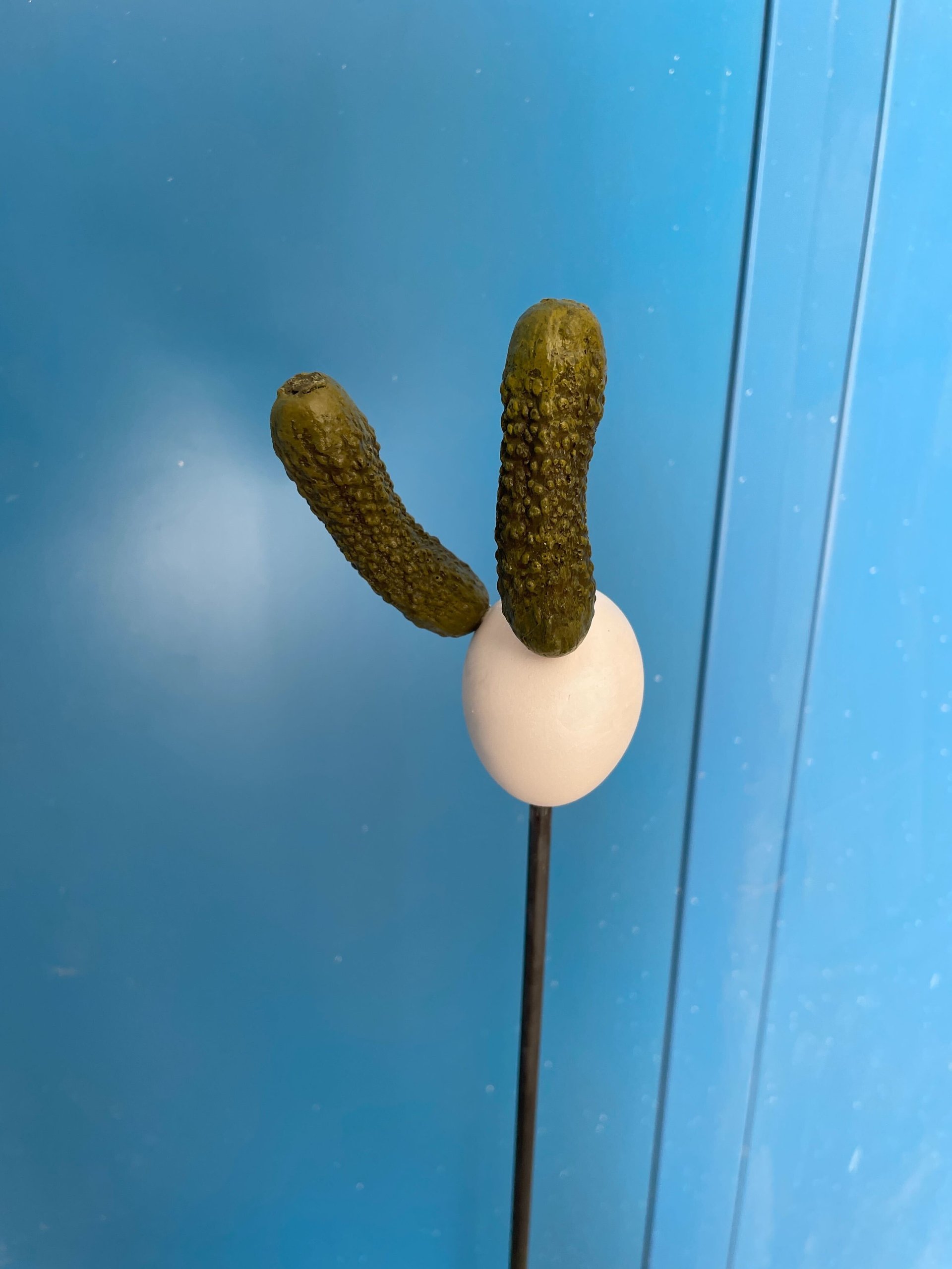 Self Portrait as a Pickle VII