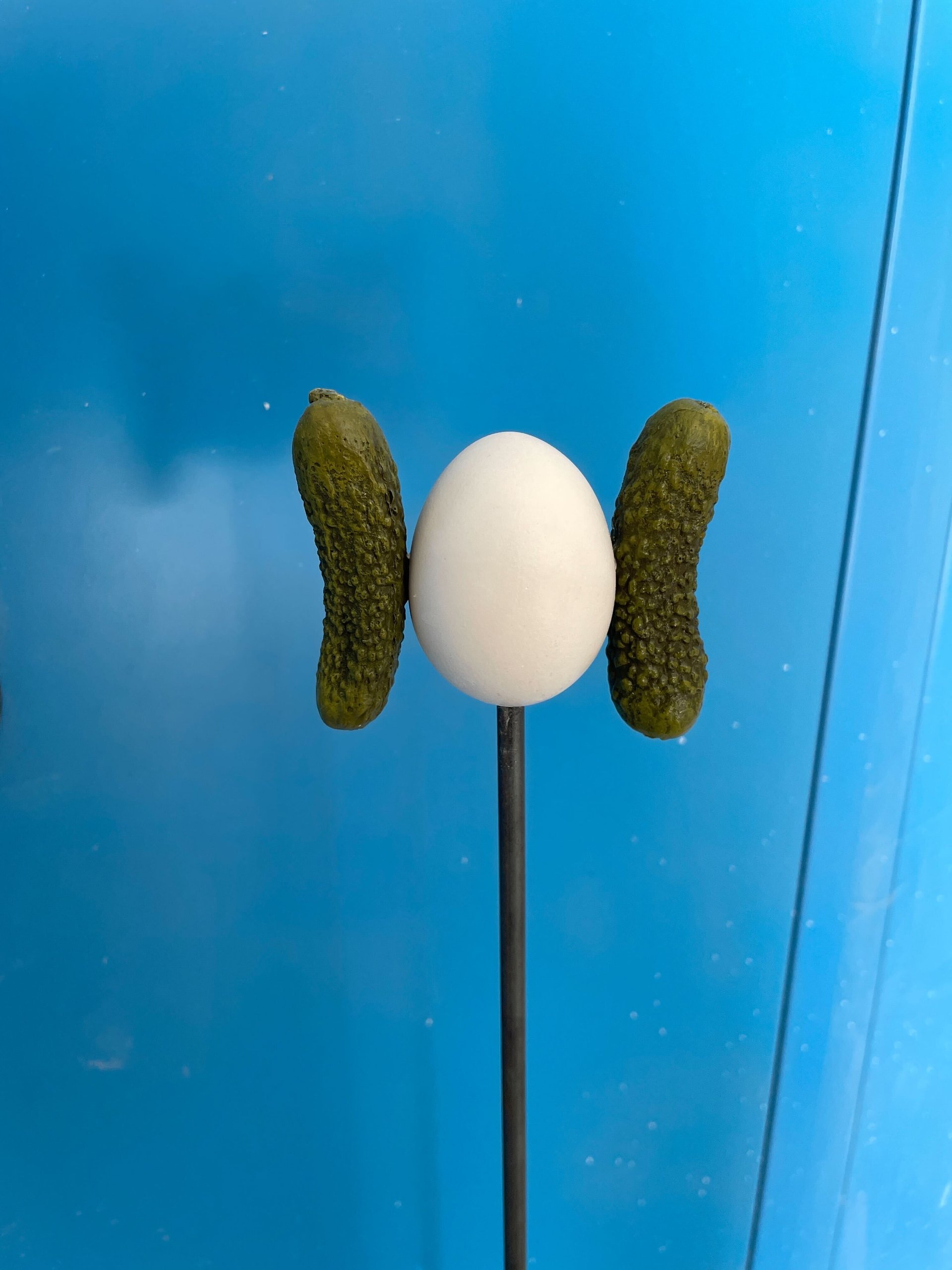 Self Portrait as a Pickle IV