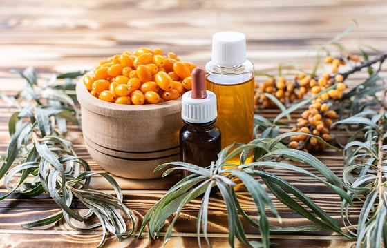 The invaluable properties of Herbal Oils - do you know them? 2 oils properties article image