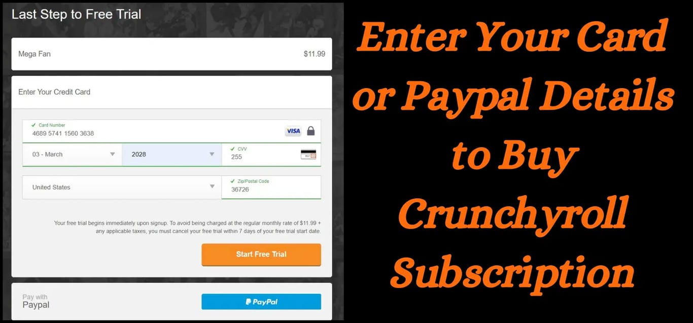 eNTERING cREDIT CARD dETAILS TO PURCHASE CRUNCHYROLL sUBSCRIPTIONS