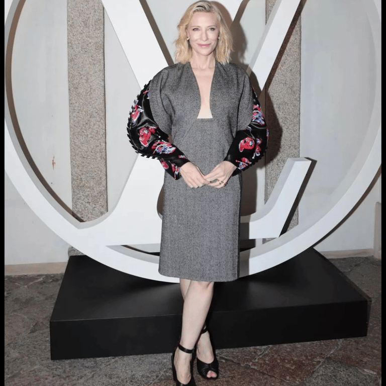 Cate Blanchett wearing a gray dress and attend a faction