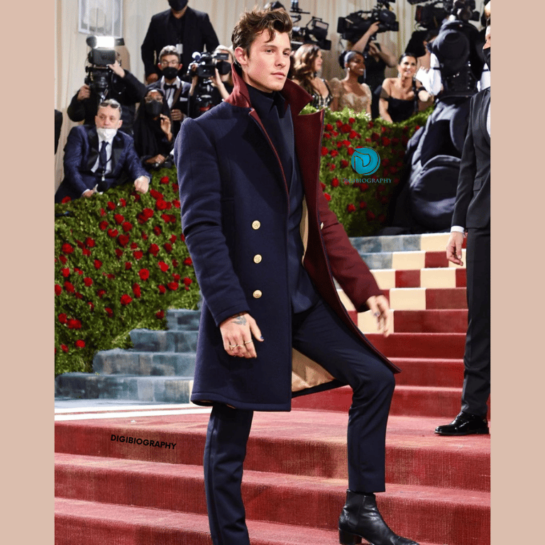 Shawn Mendes Age, Height, Met Gala, Net Worth, Girlfriend