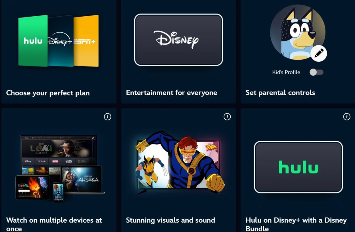 Activating Disney Plus for Mobile Devices (Android or Iphone's):