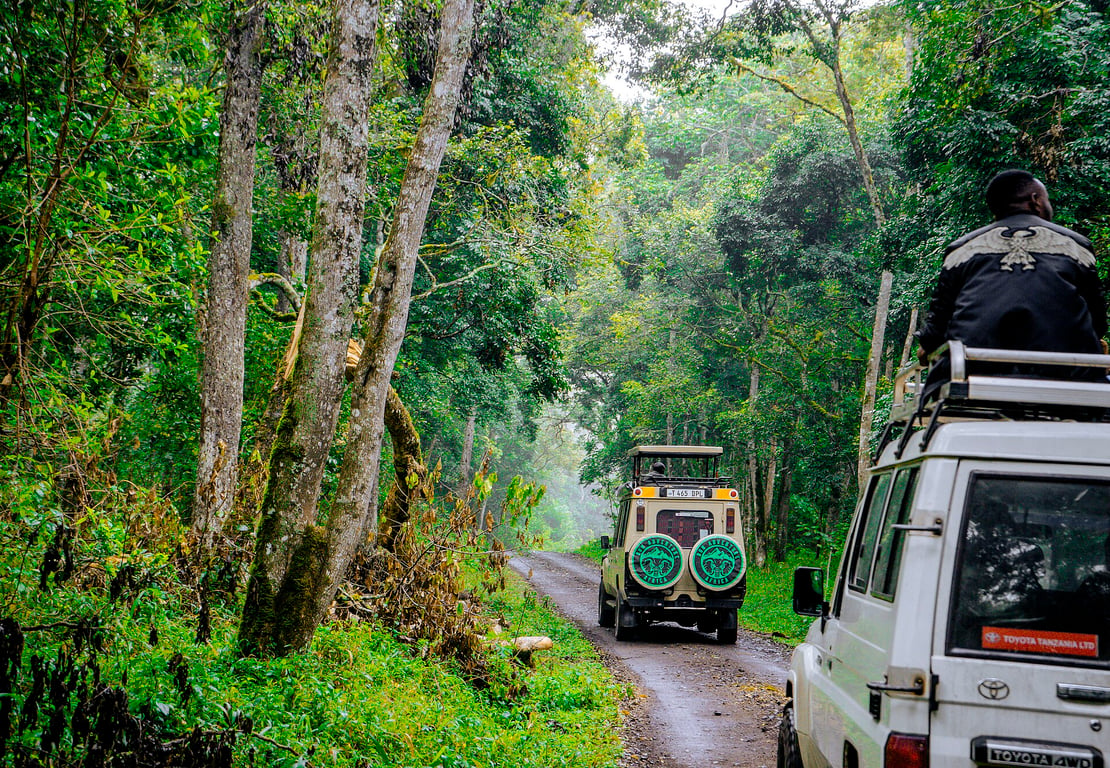 Arusha National Park