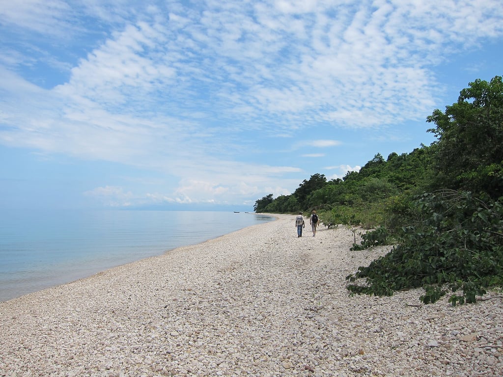 Gombe Stream National Park