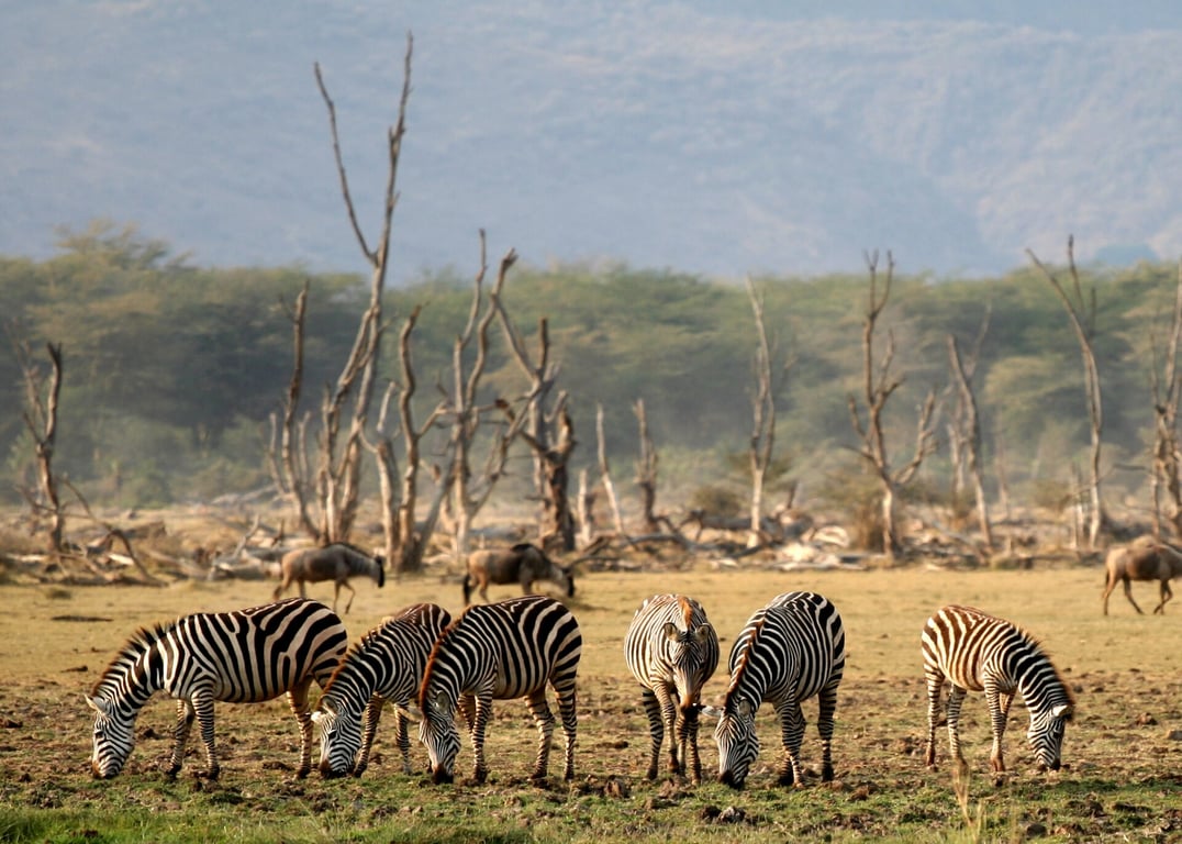 LAKE MANYARA NATIONAL PARK