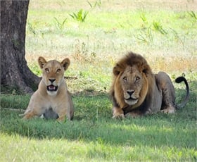 3-Day Fly-In Safari: Tarangire, Ngorongoro & Lake Manyara — photo 1