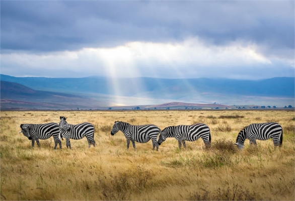 4-Days, Tarangire, Lake Manyara, Lake Eyasi Cultural Tour, & Ngorongoro Crater — photo 5