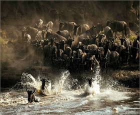 5-Day Fly-In Serengeti, Ngorongoro & Tarangire Safari — photo 2