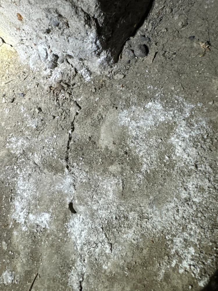 Sardis Crawlspace Waterproofing - 1