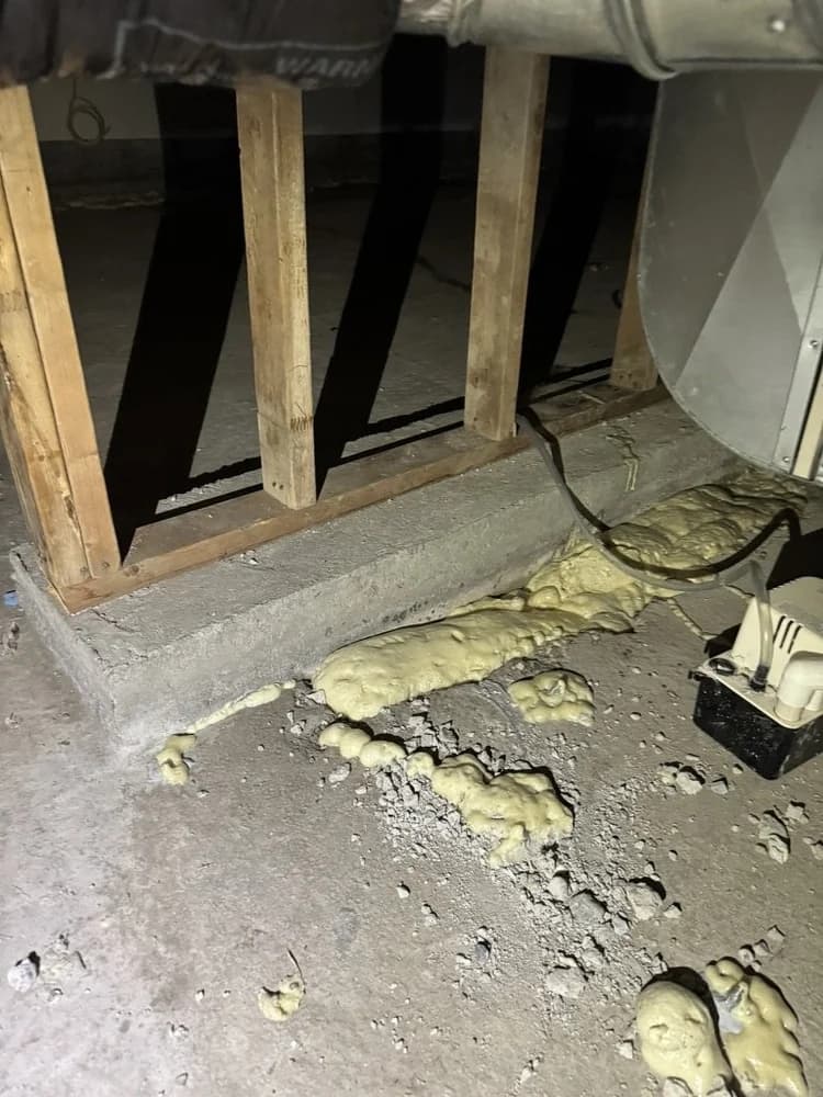 Sardis Crawlspace Waterproofing