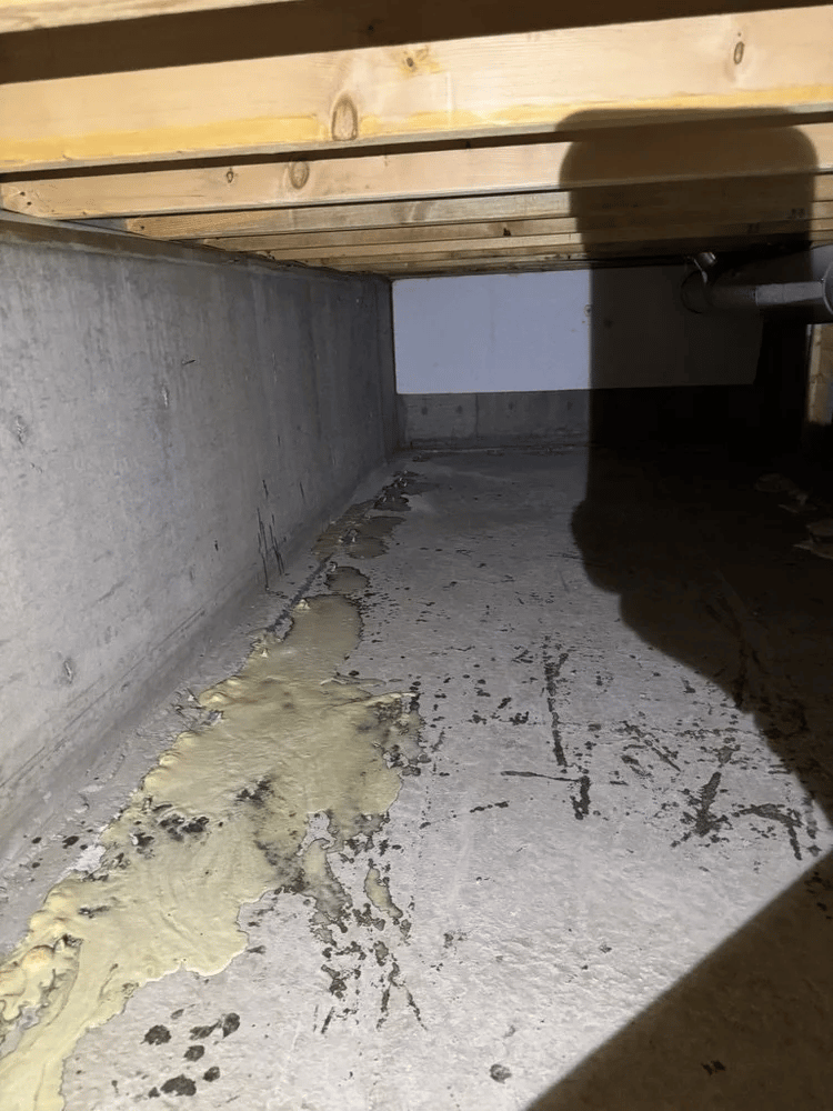 Sardis Crawlspace Waterproofing - 6