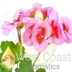 Geranium Egyptian Essential Oil (Egypt)