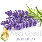 Lavender Officinalis Premium Essential Oil (France)