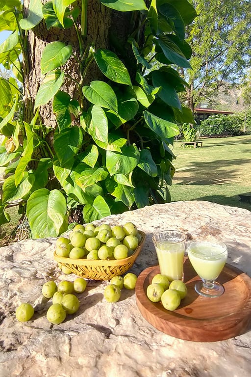 best villas in Udaipur