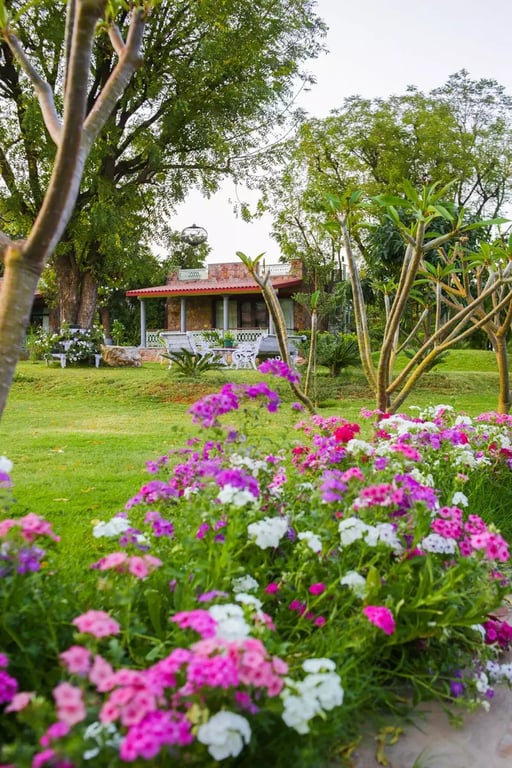 Vatsalya Vihar- Luxury Suiets In Udaipur