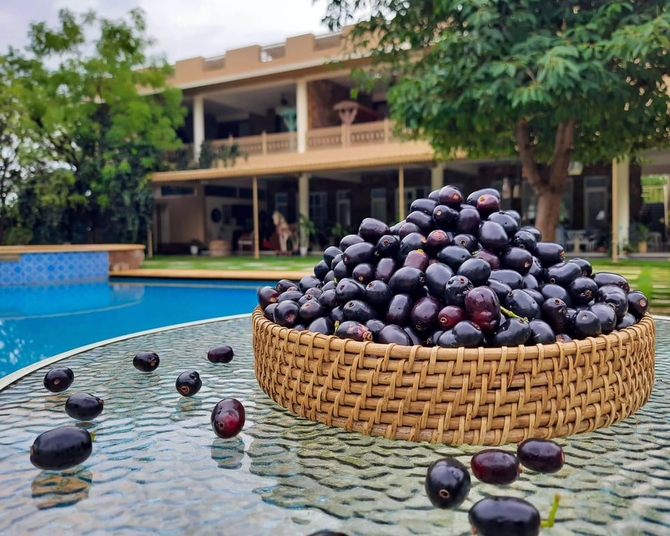 best villas in Udaipur