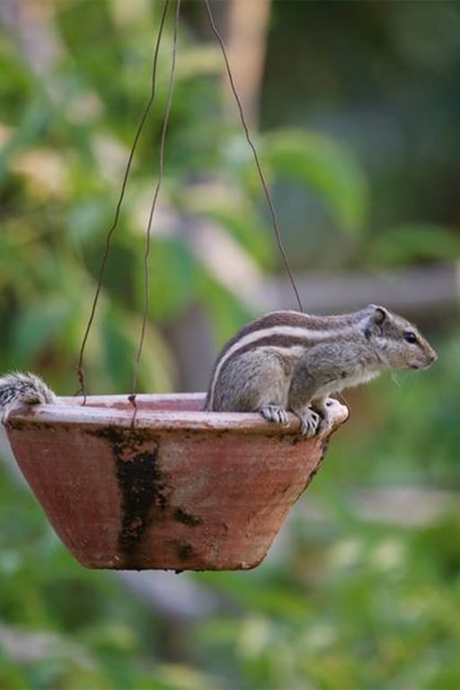 Family Holiday Resort In Udaipur- Vatsalya Vihar