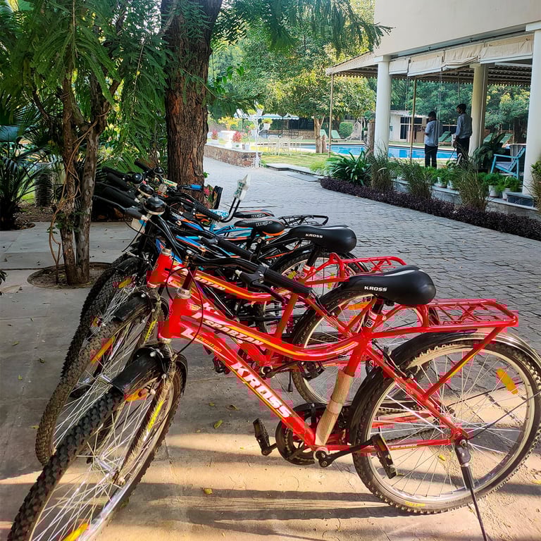 Nature Resort In Udaipur