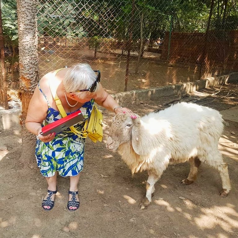 Luxury Pool Villa Resort In Udaipur- A Day In Vatsalya Vihar